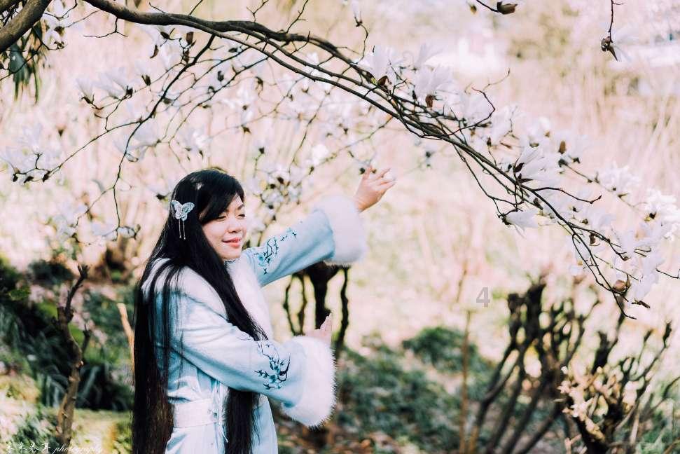 加入知识星球这些爬树的是什么藤来的?,探索专业领域精华知识