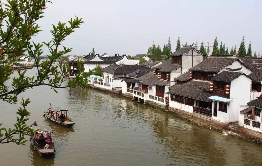 解救可爱的鸭子